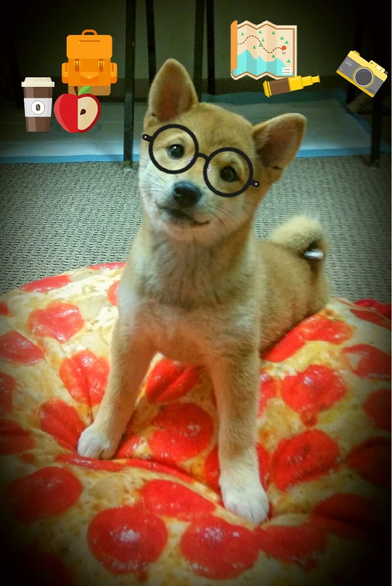 “中超联赛激烈竞争，排名不断变动”，中超联赛最新排名