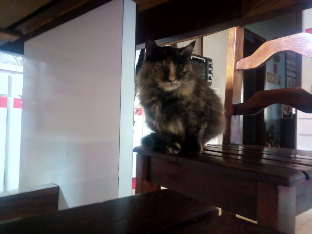 乡村骑行寻宝赛，绿色生态与趣味结合，乡村骑自行车图片大全