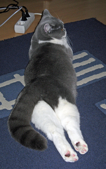 库里:破纪录的三分行云流水,重塑联盟打法!,库里三分名场面