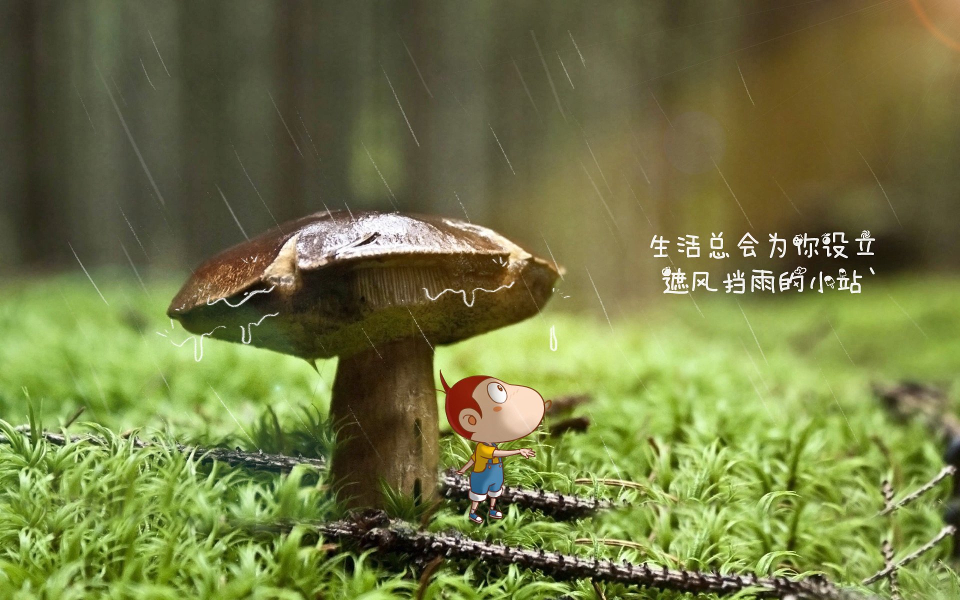 开云体育官方网站-_老鹰快攻快节奏，比赛精彩纷呈_，老鹰进攻图解