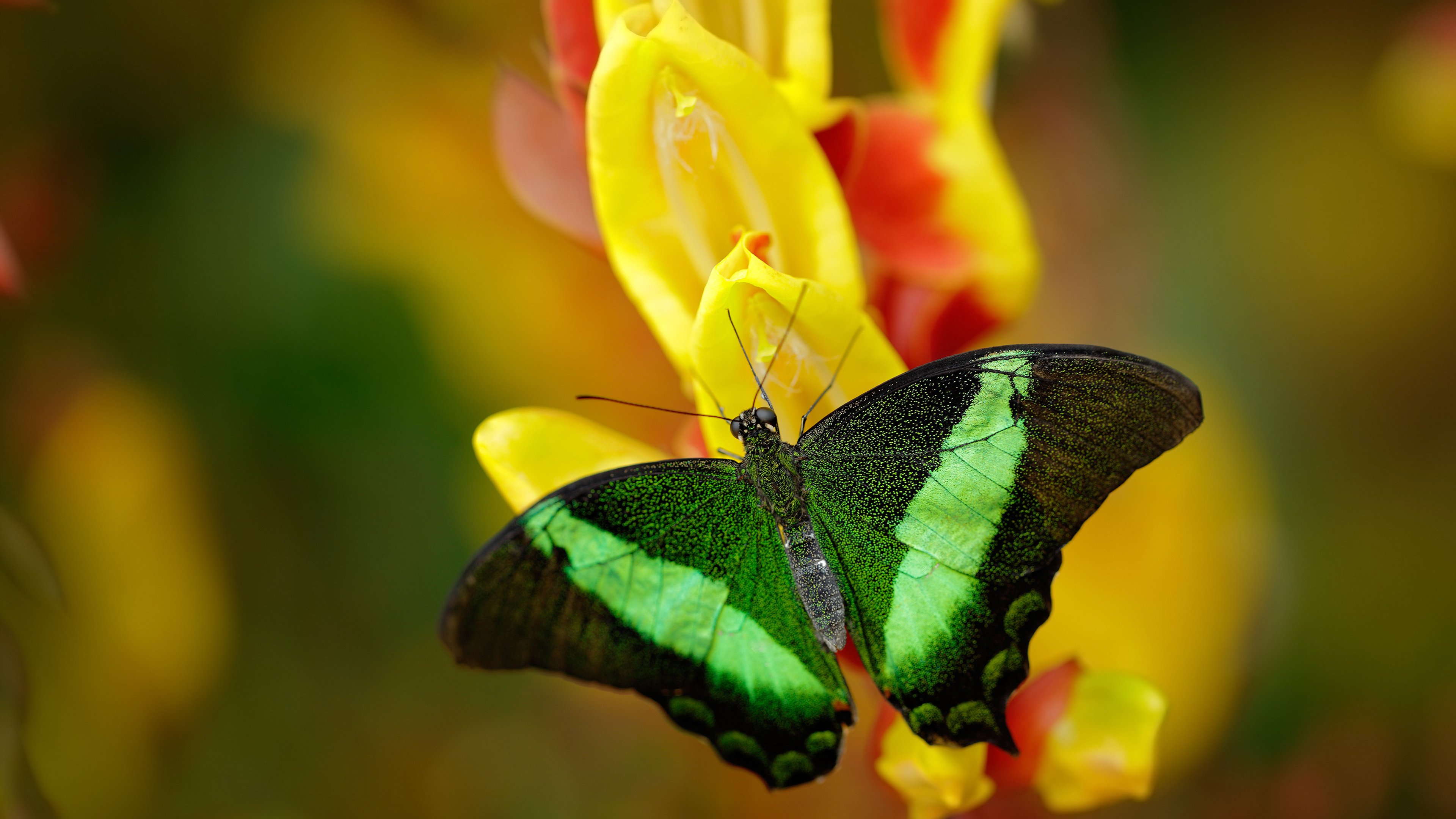 【大数据助力】如何让战术决策更科学、更精准？，战术决策案例
