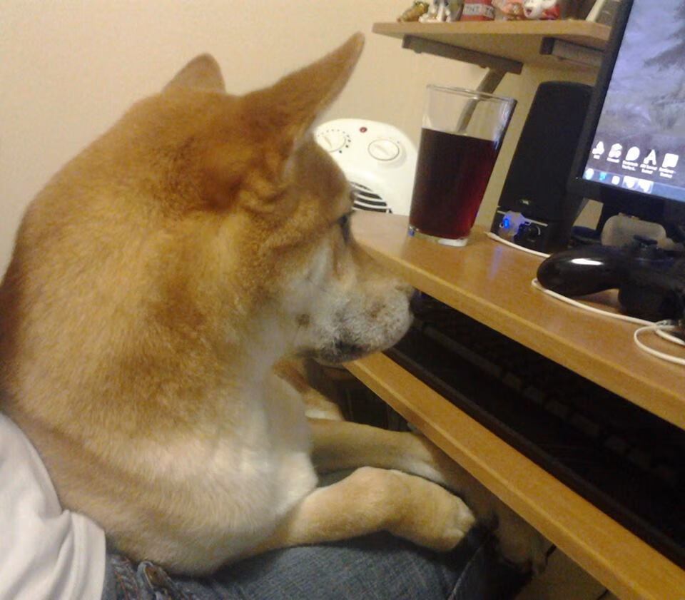 国际足球裁判员培训逐步规范，提升判罚国际竞争力，足球国际裁判收入